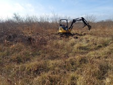 Avatar for Core Dumpster Rental and Excavation