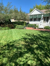 Thompson's Turf Lawncare, LLC logo