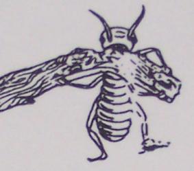 Crest Termite Control, Inc. logo
