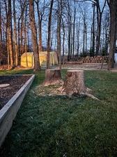 Logo for CDM Tree Service