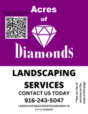 Logo for Acres of Diamonds