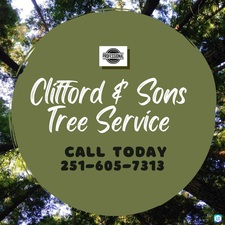 Avatar for Clifford & Sons Tree Service