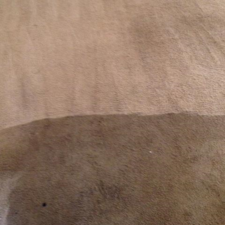 Josh S Buckeye Carpet Cleaning Inc Kent Oh 44240 Homeadvisor Carpet Cleaning