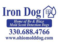 Iron Dog logo