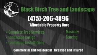 Black Birch Tree Service, LLC logo