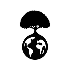 Logo for Down to Earth Tree Care