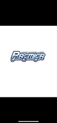 Premier Carpet Care logo