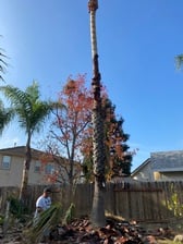 Avatar for Go Green Turf Masters