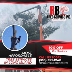 RB Tree Service logo
