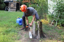 Nashville Tree Service logo
