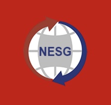 New England Seamless Gutter Installation and Cleaning, Inc. logo