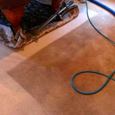 Bliss Carpet Care Is A Carpet Cleaning Company In Whitinsville Ma 01588