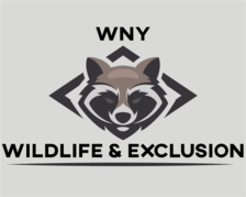 WNY Wildlife & Exclusion, LLC logo