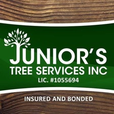 Avatar for Junior's Tree Service, Inc.