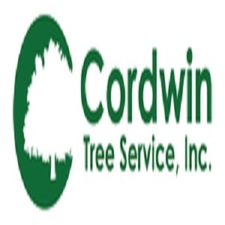 Logo for Cordwin Tree Service