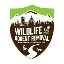 Avatar for Wildlife And Rodent Removal