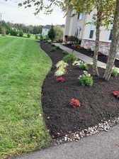 Salgado's Landscaping logo