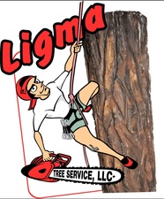 Ligma Tree Services LLC logo