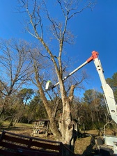 Logo for Sparks & Reid LLC dba S&R Tree Service