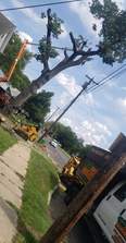 Avatar for R&B Tree Services