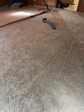 Avatar for Gabriel Carpet Installation