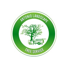Antonio Landscaping Services logo