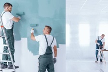 Paint Pros Palm Beach logo