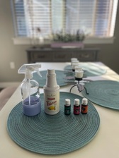 Logo for Natural Cleaning and Organizing LLC