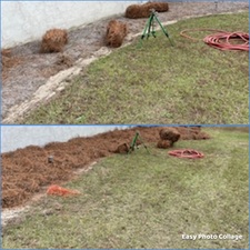 Avatar for ASR Affordable Stump Removal