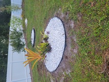 Avatar for Angry Birds Irrigation & Landscapes