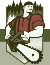 Logo for Jack's Professional Tree Service