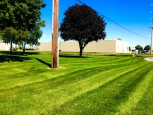 Avatar for Geiger Lawn and Snow Services