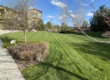 TJ's Property Maintenance logo