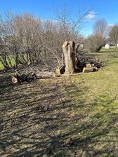 Logo for Get it done tree service