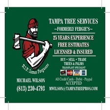 Logo for Tampa Tree Services, LLC