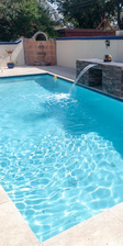 Avatar for Elex's Pool Service - Unlicensed Contractor