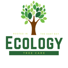 Logo for Ecology Tree Care, Inc.