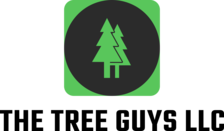 The Tree Guys, LLC logo