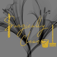 Logo for Surgically Clean