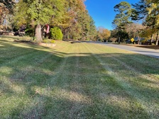 Avatar for 5 Star Lawncare