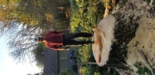 Avatar for West Hills Turf and Tree, LLC