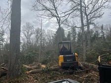 Avatar for Hood's Tree and Home Services