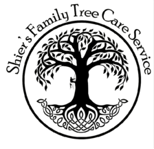Avatar for Shier's Family Tree Care Service
