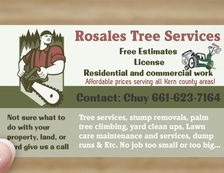 Avatar for Rosales Tree Service - Unlicensed Contractor