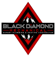 Avatar for Black Diamond Mechanical, Inc.