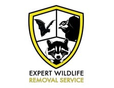 Avatar for Expert Wildlife Removal & Pest