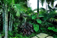 Avatar for Living Water Landscape, LLC