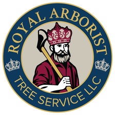 Logo for Royal Arborist Tree Service