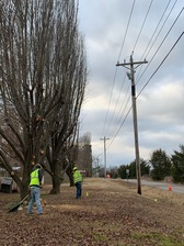 Avatar for JJ Tree Service, LLC