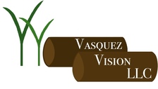 Logo for Vasquez Vision, LLC